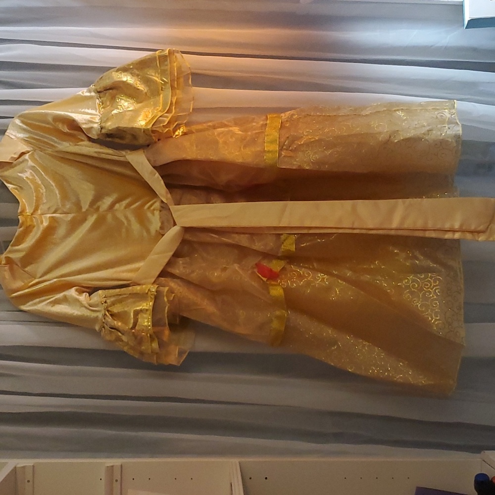 PRINCESS BELLE DRESS! - Picture 5 of 7